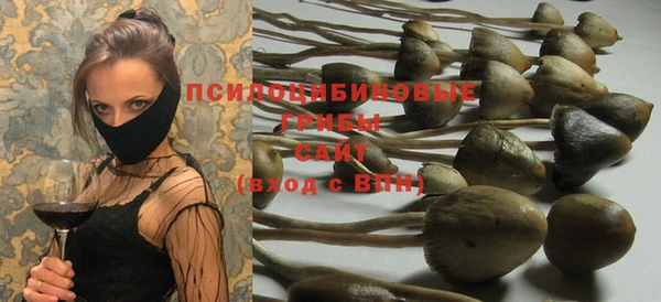 мдпв Абаза