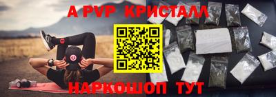 шишки Изобильный
