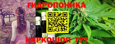 ГАЛЛЮЦИНОГЕННЫЕ ГРИБЫ Ирбит