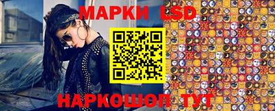 шишки Изобильный