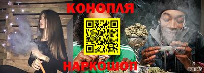 шишки Изобильный