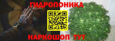 ГАЛЛЮЦИНОГЕННЫЕ ГРИБЫ Ирбит