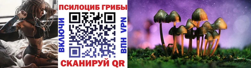 Галлюциногенные грибы Psilocybine cubensis  Саранск 