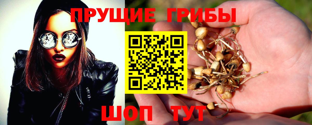 Галлюциногенные грибы MAGIC MUSHROOMS  Псилоцибиновые грибы Magic Shrooms  Саранск  Вход с VPN 